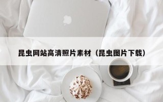 湘阴昆虫网站高清照片素材（昆虫图片下载）